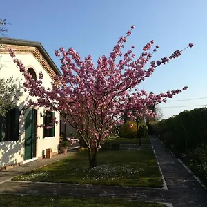 Casa Pianta Penzion